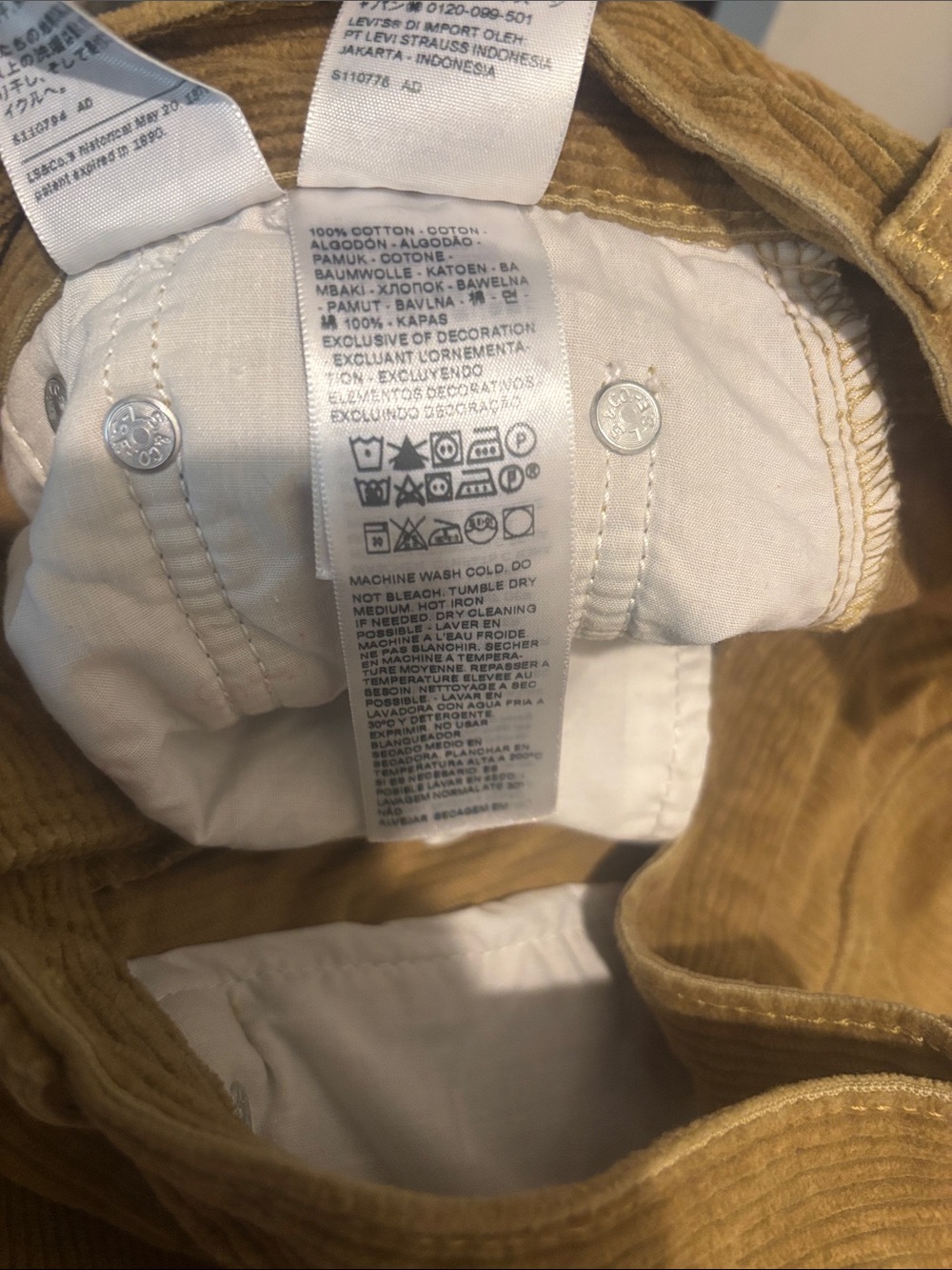 Levi Corduroy Pant - Picture 6 of 6